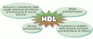 aumentare-colesterolo-HDL