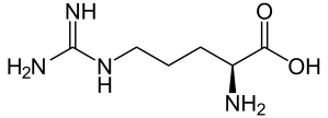 2000px-L-Arginin_-_L-Arginine_svg