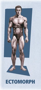 mesomorfo-ectomorfo-endomorfo1.jpg
