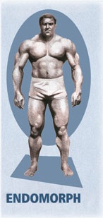 mesomorfo-ectomorfo-endomorfo2