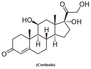 cortisolo-300x227