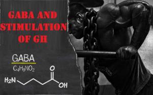 gaba1