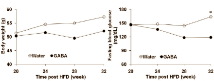 gabaoverweightinsulin3