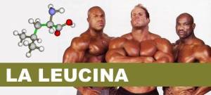 leucina2