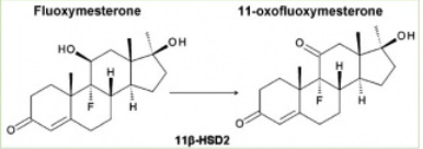 12795563_482415481944697_644543253882011977_n