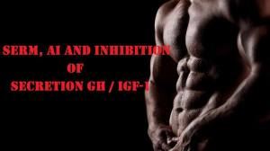 12933125_495370727315839_6259896106994196077_n