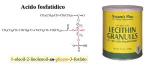 13165992_509651985887713_8411150635695076599_n