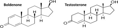 figure-1-structure-of-boldenone-and-testosterone_big-png