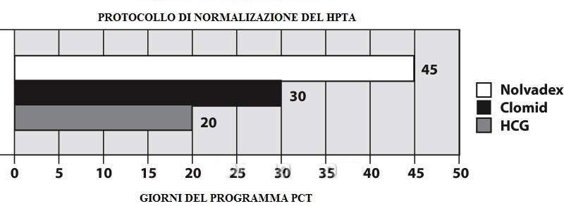 protocollo-scally-hcg-clomid-nolvadex