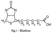 biotina_chimica