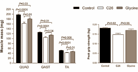 glycineanticatabolic