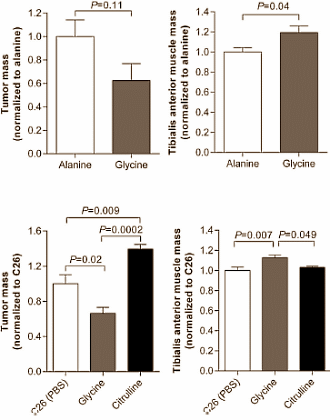 glycineanticatabolic2