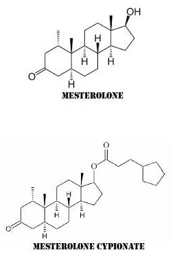 mesterolone1