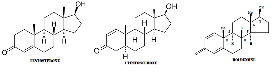 1-testosterone-svg