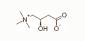 carnitine4