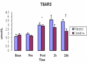 carnitinephysicalactivitymuscle3