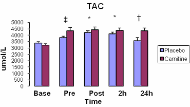 carnitinephysicalactivitymusclex