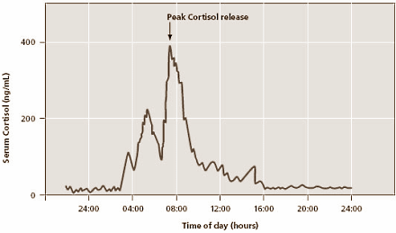 cortisoldiurnal