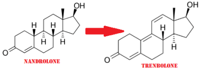 nandrolone-svg1