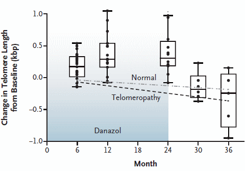 telomeresanabolicsteroids2