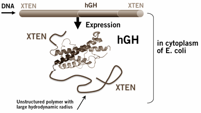 xtenpolypeptide