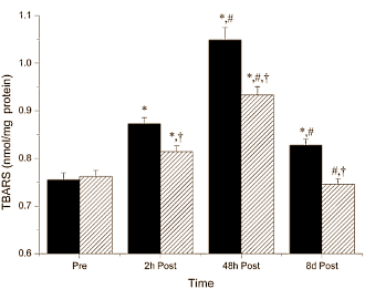 nacetylcysteinemusclerecovery2