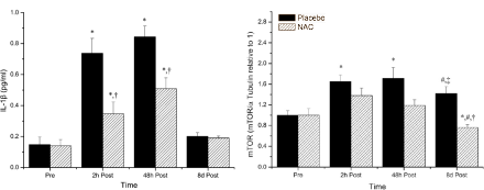 nacetylcysteinemusclerecovery4