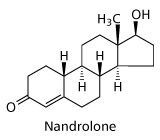 nandrolone