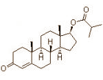 testosteroneisobutyrate