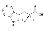 triptofano