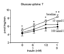insulin-t-fat