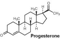 progesterone
