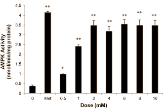 chlorogenicacidmuscle4