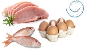 proteine_small_