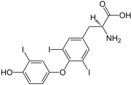 (S)-Triiodthyronine_Structural_Formulae_V2_svg.png