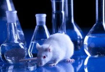 topi-laboratorio-218x150