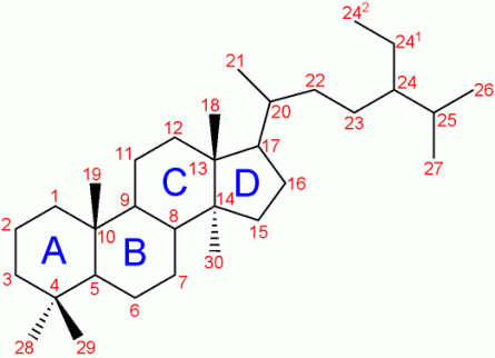 trimethyl_steroid-nomenclature