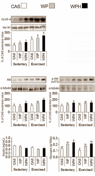 wheyhydrolysateinsulin
