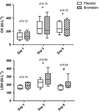 bromelaintestosteroneexercise2