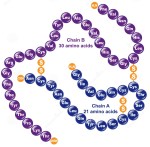 insulina-umana-24404257