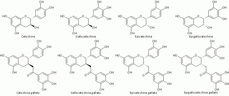 Catechine