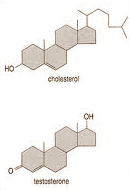 cholesterone