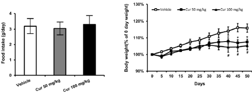 curcuminbrowningofwhitefat4