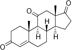 Adrenosterone