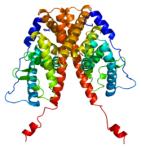 250px-Protein_ESR1_PDB_1a52