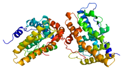 250px-Protein_PGR_PDB_1a28