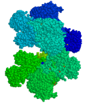 G6PD_-_3D_structure_-_PDB1qki