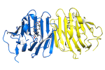 Sex-Hormone-Binding-Globulin-SHBG2