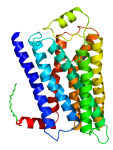 451px-Beta-2_adrenergic_receptor