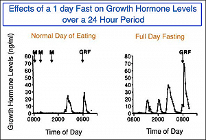 gli-effetti-del-digiuno-sull-ormone-della-crescita_300x250_37442